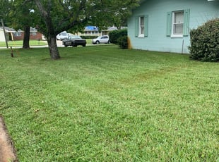 1 Belleville Mi Lawn Care Service Lawn Mowing From 19 Best 2020