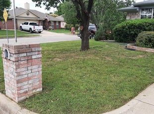 1 Belmont Nc Lawn Care Service Lawn Mowing From 19 Best 2020
