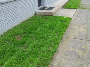 Berryville Va Lawn Care Service Lawn Mowing From 19 Rated Best 2020