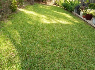 1 Berwyn Il Lawn Care Service Lawn Mowing From 19 Best 2020