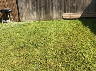 Bethel, CT Landscaping from $29 | #1 Landscapers | Best of ...