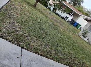 Bethpage Tn Lawn Care Service Lawn Mowing From 19 Rated Best 2020