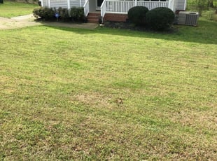 1 Beverly Ma Lawn Care Service Lawn Mowing From 19 Best 2020