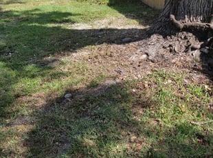 Blackwood Nj Lawn Care Service Lawn Mowing From 19 Rated Best 2020
