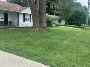 1 Bloomfield Hills Mi Lawn Care Service Lawn Mowing From 19 Best 2020