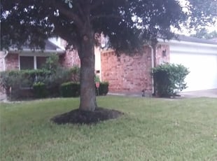 1 Boardman Oh Lawn Care Service Lawn Mowing From 19 Best 2020