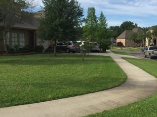 Boca Raton Fl Lawn Care Service Lawn Mowing From 19 Rated Best 2020
