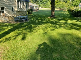 1 Bon Aqua Tn Lawn Care Service Lawn Mowing From 19 Best 2020