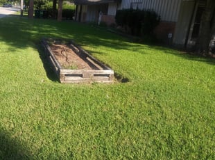 1 Bonney Lake Wa Lawn Care Service Lawn Mowing From 19 Best 2020
