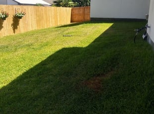 Bossier City La Lawn Care Service Lawn Mowing From 19 Rated Best 2020