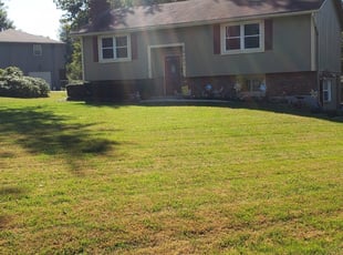 1 Boston Ma Lawn Care Service Lawn Mowing From 19 Best 2020