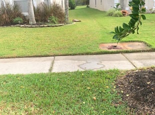 1 Boston Ma Lawn Care Service Lawn Mowing From 19 Best 2020