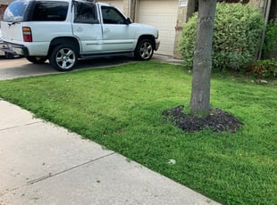 8 Best Lawn Care Services in Bothell, WA 2020 | LawnStarter