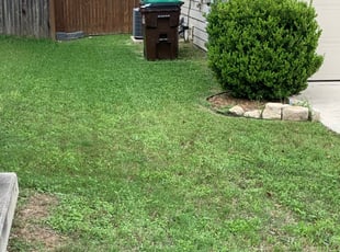 8 Best Lawn Care Services in Bothell, WA 2020 | LawnStarter