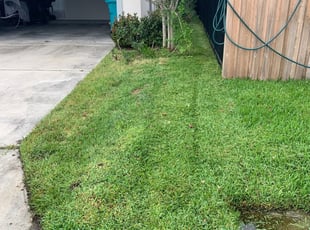 Bowie Md Lawn Care Service Lawn Mowing From 19 Rated Best 2020