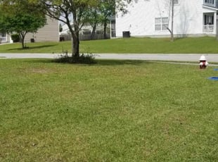 Bowie Md Lawn Care Service Lawn Mowing From 19 Rated Best 2020