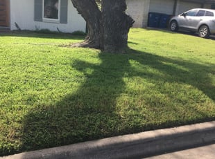 Bowie Md Lawn Care Service Lawn Mowing From 19 Rated Best 2020