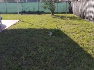 Brandon Fl Lawn Care Service Lawn Mowing From 19 Rated Best 2020