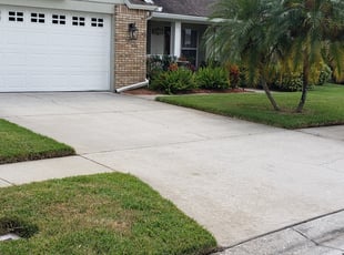 1 Branford Ct Lawn Care Service Lawn Mowing From 19 Best 2020