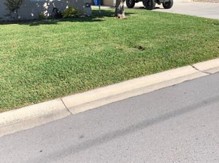 Brazoria Tx Lawn Care Service Lawn Mowing From 19 Rated Best 2020