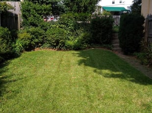 1 Bridgeport Ct Lawn Care Service Lawn Mowing From 19 Best 2020