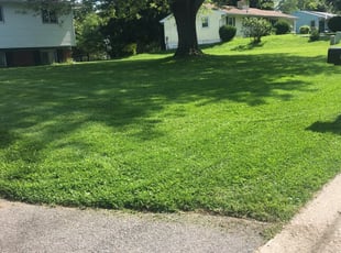 Brighton Co Lawn Care Service Lawn Mowing From 19 Rated Best 2020