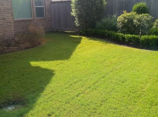 Brighton Co Lawn Care Service Lawn Mowing From 19 Rated Best 2020
