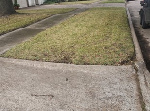 Brighton Co Lawn Care Service Lawn Mowing From 19 Rated Best 2020