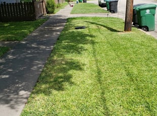 1 Brighton Mi Lawn Care Service Lawn Mowing From 19 Best 2020