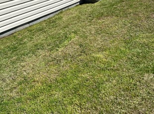 Bristol Ct Lawn Care Service Lawn Mowing From 19 Rated Best 2020