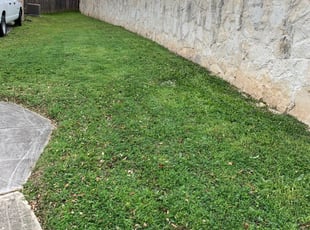 1 Brookpark Oh Lawn Care Service Lawn Mowing From 19 Best 2020