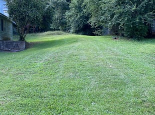 Brooksville Fl Lawn Care Service Lawn Mowing From 19 Rated Best 2020