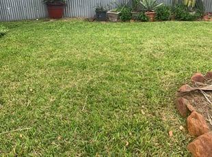 1 Broomfield Co Lawn Care Service Lawn Mowing From 19 Best 2020