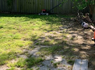 1 Broomfield Co Lawn Care Service Lawn Mowing From 19 Best 2020