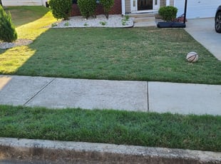1 Broomfield Co Lawn Care Service Lawn Mowing From 19 Best 2020