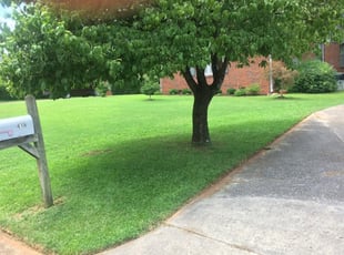 1 Broomfield Co Lawn Care Service Lawn Mowing From 19 Best 2020