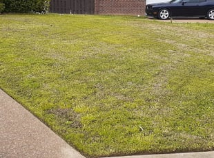 10 Best Lawn Care Services in Brunswick, OH 2020 | LawnStarter