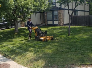Buffalo Ny Lawn Care Service Lawn Mowing From 19 Rated Best 2020