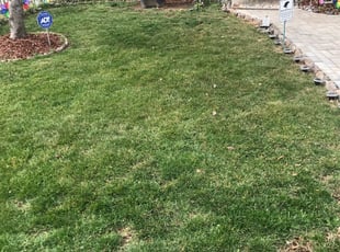 1 Burke Va Lawn Care Service Lawn Mowing From 19 Best 2020