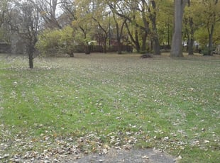 1 Burlington Ky Lawn Care Service Lawn Mowing From 19 Best 2020