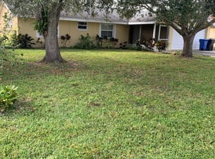 1 Burlington Ky Lawn Care Service Lawn Mowing From 19 Best 2020