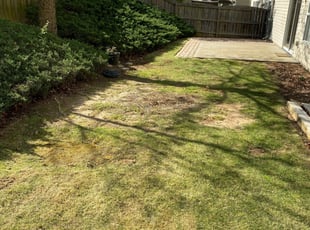 1 Burlington Ky Lawn Care Service Lawn Mowing From 19 Best 2020