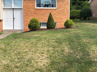 Butler Pa Lawn Care Service Lawn Mowing From 19 Rated Best 2020