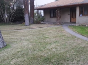 The 10 Best Lawn Care Services Near Me | Lawn Mowing ...