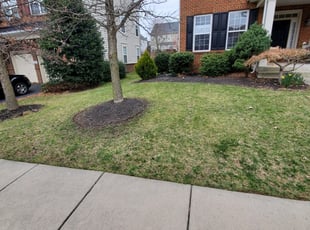 1 Camden Nj Lawn Care Service Lawn Mowing From 19 Best 2020