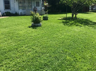 Lawn Service from Idea Buddy Business