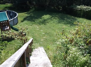 1 Canal Winchester Oh Lawn Care Service Lawn Mowing From 19 Best 2020