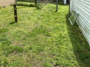 1 Canal Winchester Oh Lawn Care Service Lawn Mowing From 19 Best 2020