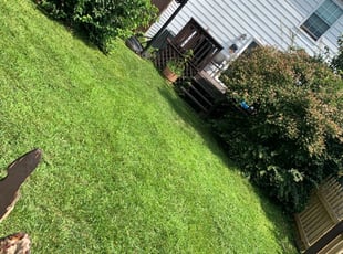 1 Canastota Ny Lawn Care Service Lawn Mowing From 19 Best 2020