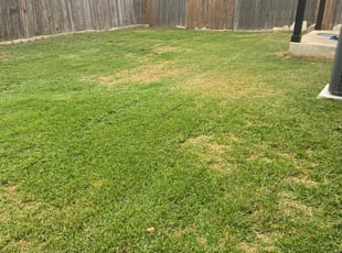 1 Canonsburg Pa Lawn Care Service Lawn Mowing From 19 Best 2020